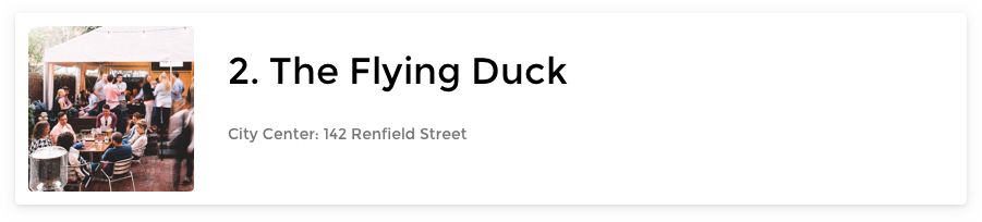 The Flying Duck